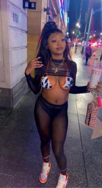 2053408727, female escort, Tuscaloosa